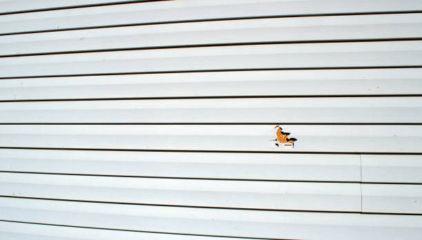 Siding for New Construction in Sparta, GA